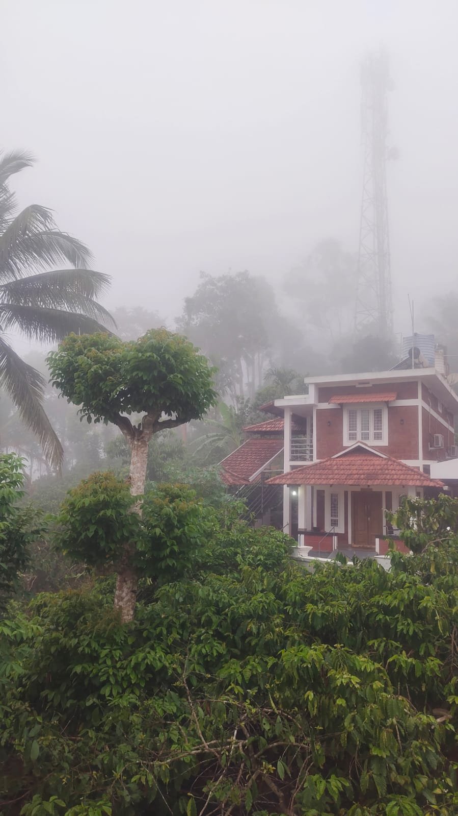Hospital building on a misty Wayanad morning
